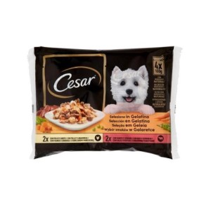 Cibo Cane Cesar 4X100G In Gelatina