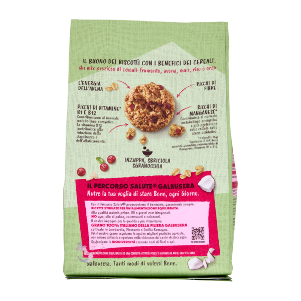 Biscotti Galbusera Cerealig 2800 100% Vegetali Mirtilli Rossi E Cocco - immagine 2